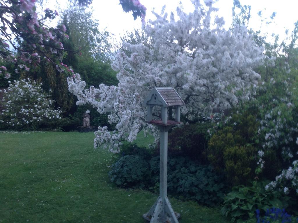 Bed and Breakfast White House Farm Hindolveston Екстер'єр фото